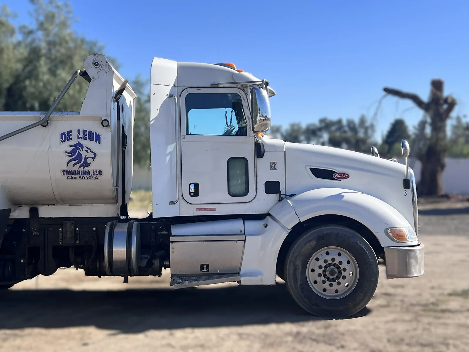 De Leon Trucking Super 10 dump truck, side view